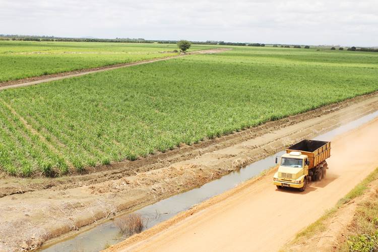 Juazeiro poderá produzir biometano com resíduos da cana