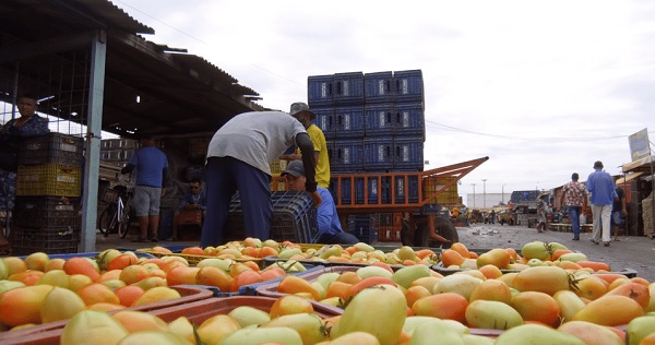 Confira a cotação dos hortifrutigranjeiros comercializados no Mercado do Produtor de Juazeiro nesta quarta-feira (13) — Blog Edenevaldo Alves