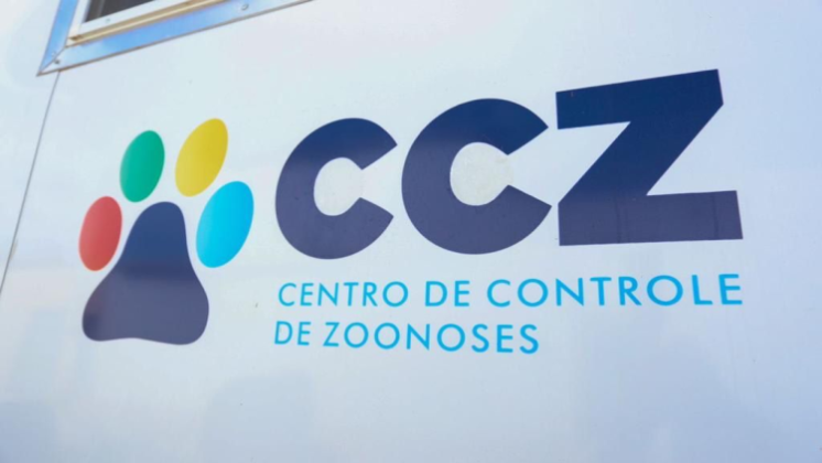 Bora Petrolina: CCZ realiza triagem para castração de animais no bairro Dom Avelar