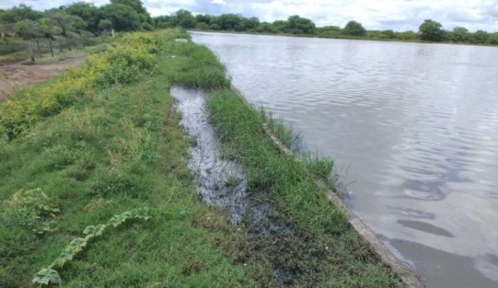 Petrolina (PE): ARMUP multa COMPESA em mais de R$ 300 mil por crime ambiental