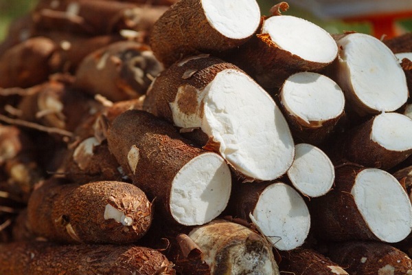Confira a cotação dos hortifrutigranjeiros comercializados no Mercado do Produtor de Juazeiro nesta quarta-feira — Blog Edenevaldo Alves