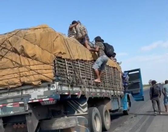 Petrolina (PE): Motorista é flagrado transportando 10 trabalhadores em carroceria de caminhão
