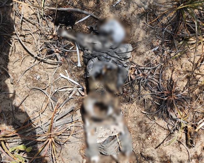 Ossada humana encontrada na Zona Rural de Casa Nova é identificada