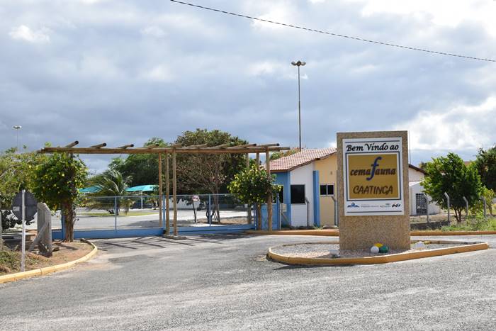 Museu de Fauna da Caatinga tem projeto aprovado pela Facepe