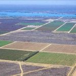 Sudene aprova incentivos fiscais para 19 empresas, incluindo agricultura irrigada