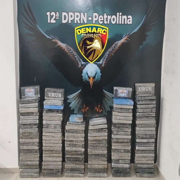 Homem é preso com 128kg de cocaína no Sertão Pernambucano