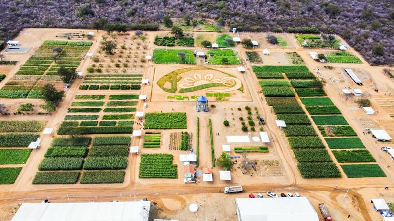 Semiárido Show 2025 terá mais de 90 capacitações gratuitas
