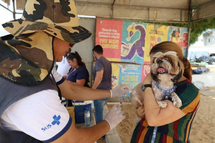 Prefeitura começará vacinação antirrábica em localidades rurais de Petrolina