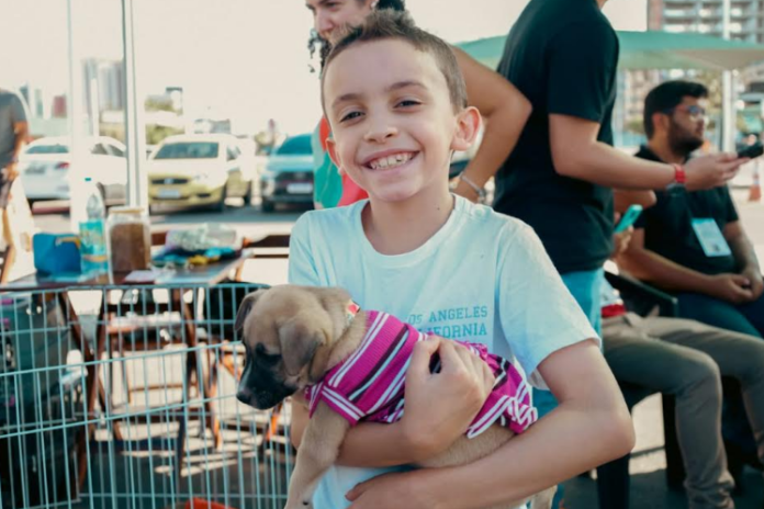 Feira de adoção de animais proporciona novos lares para cães e gatos de Petrolina (PE)