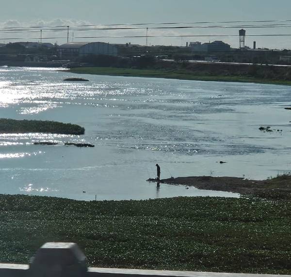 O Velho Chico, o pescador solitário e um sopro de esperança