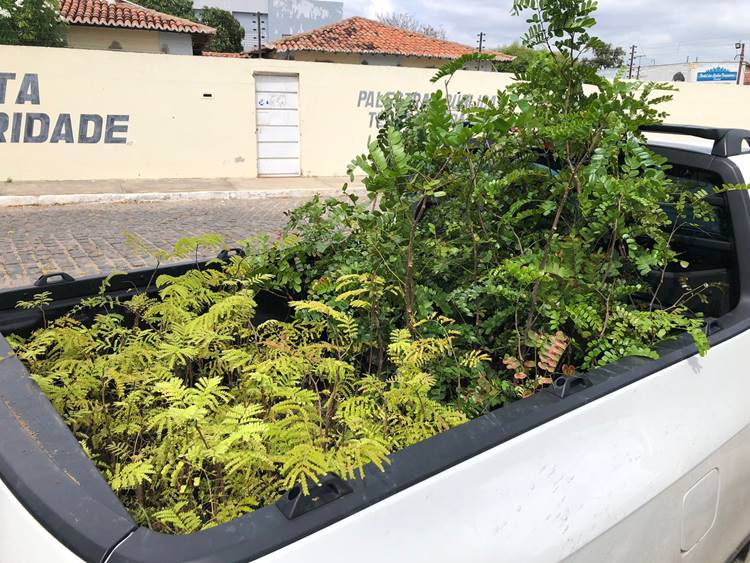 ‘Carro da Planta’ atenderá 4 comunidades de Petrolina em novembro