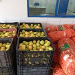 Divulgada em Petrolina lista de selecionados para fornecer alimentos do PAA