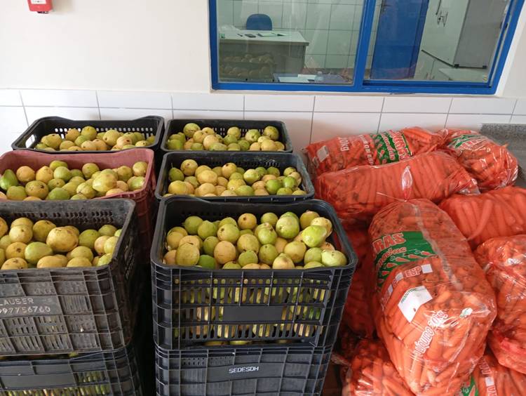 Divulgada em Petrolina lista de selecionados para fornecer alimentos do PAA