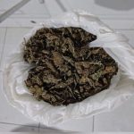 Flagrado com maconha, suspeito é preso por tráfico de drogas em Curaçá (BA)