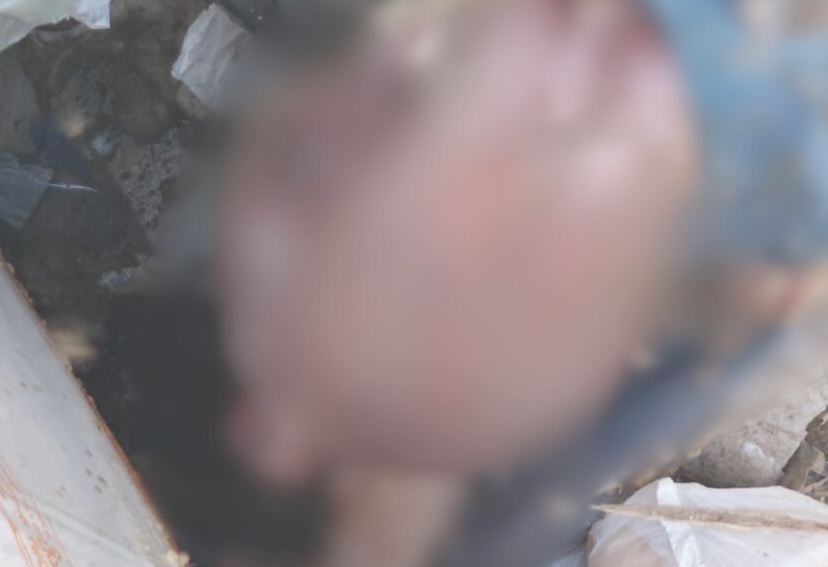 Recém-nascido é encontrado morto em lixo no bairro João de Deus