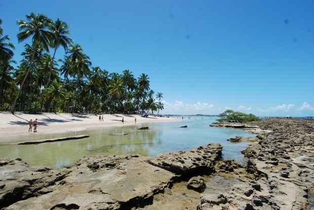 Confira as praias próprias para o banho em Pernambuco no último boletim de 2025