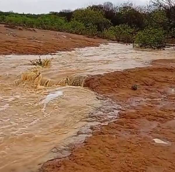 Zona Rural de Petrolina comemora bom volume de chuvas