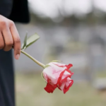 Governo cria dia nacional de luto pelas vítimas de feminicídio; saiba a data