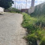 Leitor Repórter: Morador cobra limpeza pública na Rua dos Migrantes no bairro Alto do Cheiroso em Petrolina (PE)