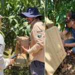 Startup do semiárido é selecionada em programa de inovação voltado à Caatinga