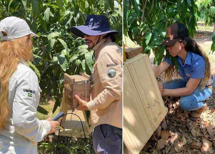 Startup do semiárido é selecionada em programa de inovação voltado à Caatinga