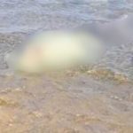 Dois afogamentos são registrados no Rio São Francisco nos primeiros dias do mês