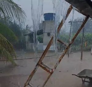 Chuva faz alegria de moradores na Zona Rural de Casa Nova