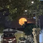 Mistérios que voam longe: Magia da lua cheia encanta petrolinenses